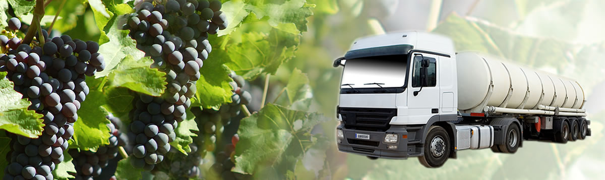 Eurosud France se spécialise dans la vente en vrac au moyen de camions citernes, de containers et de bateaux pour les industries de la production de vin et d'alcool